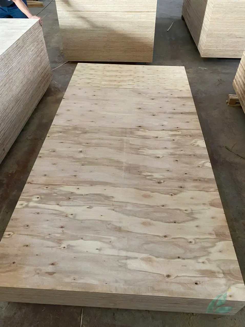 matt plywood panels stacked ready for export container loading hcply vietnam factory