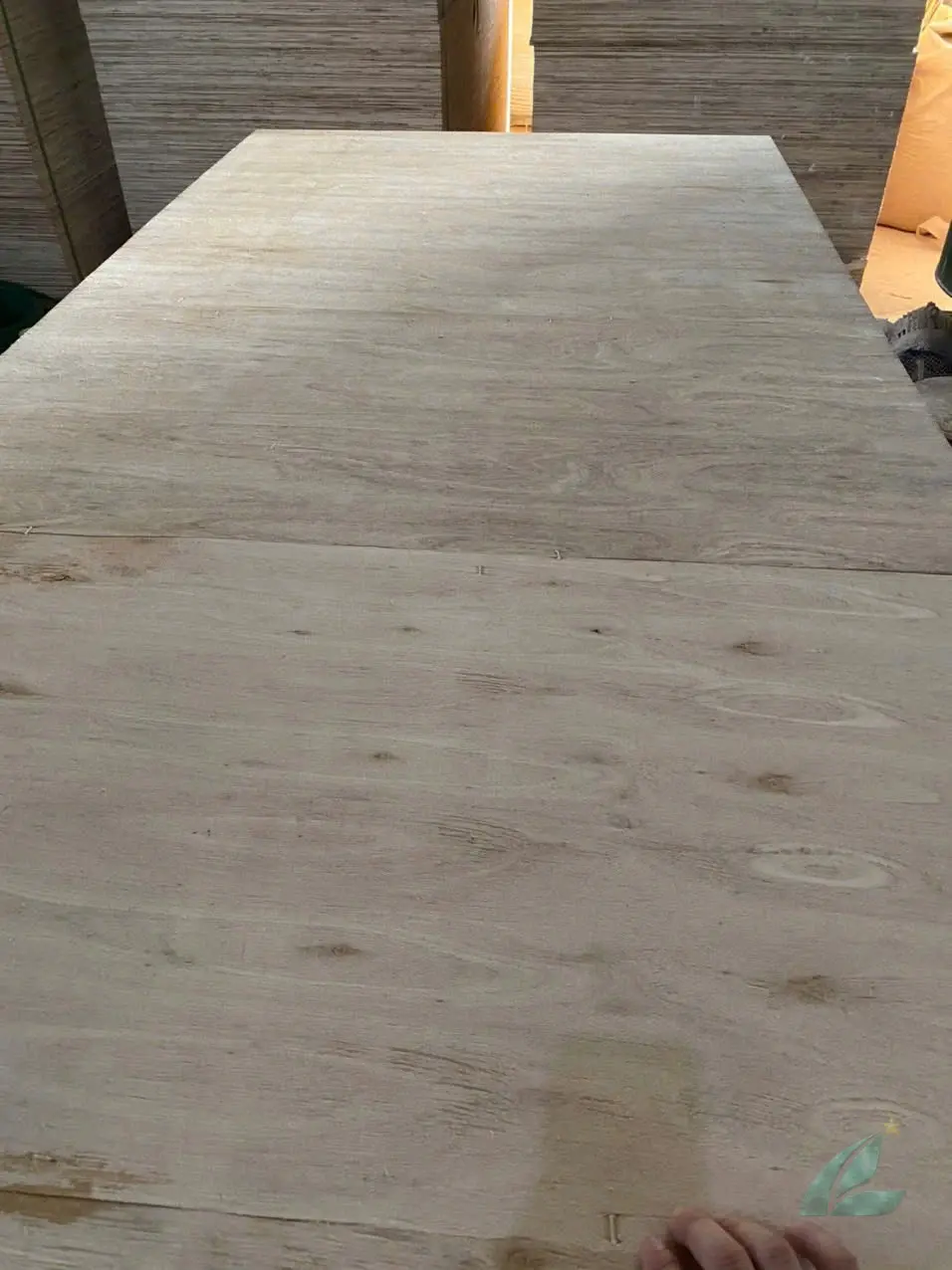 matt plywood specification sheet thickness tolerance core construction hcply vietnam export grade
