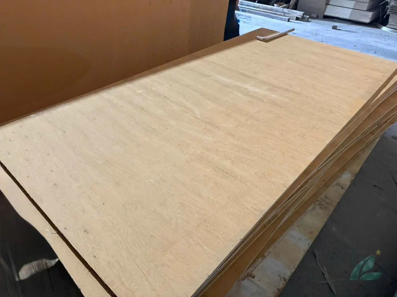 matt plywood unfaced raw core panels vietnam export hcply