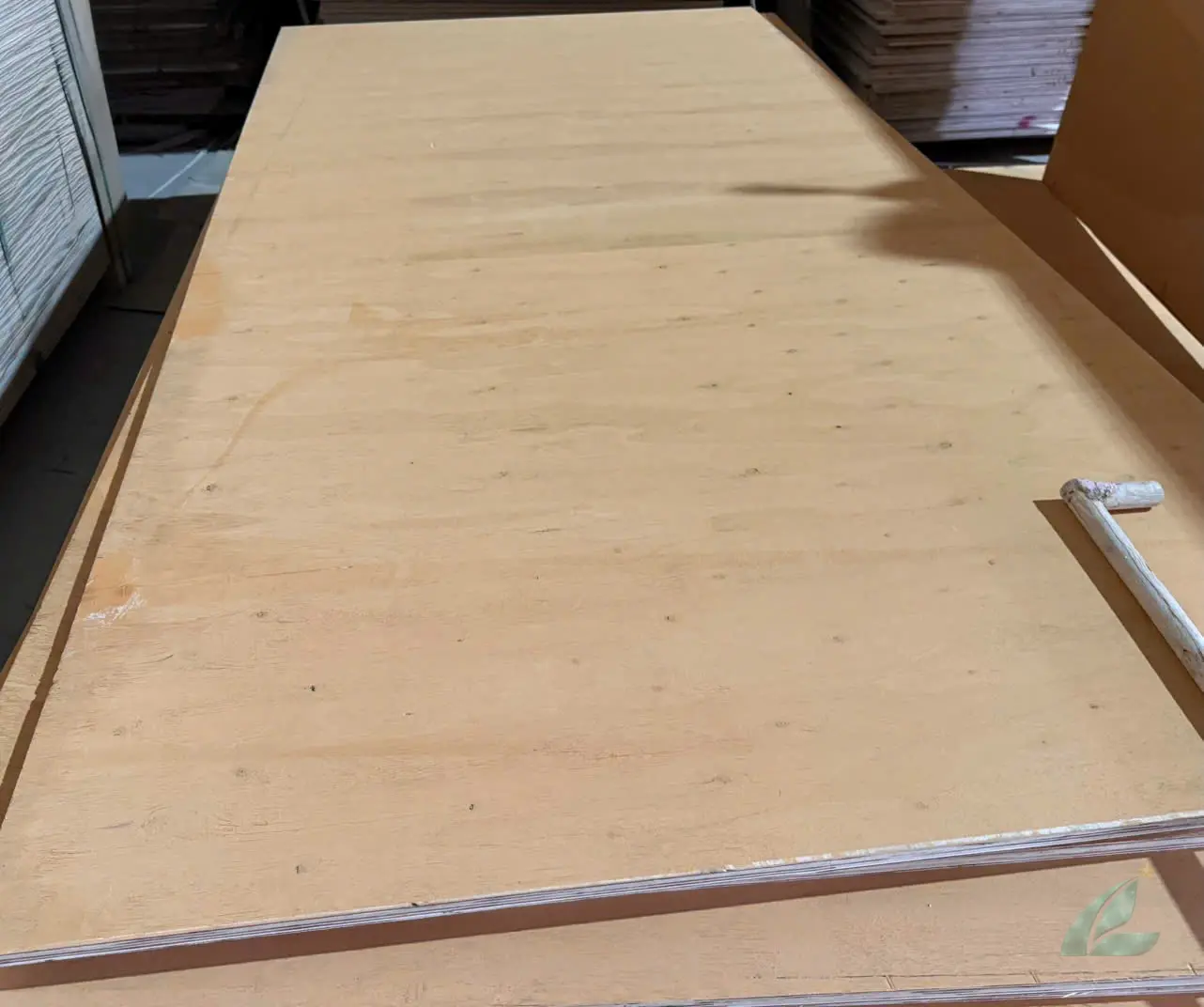 matt plywood unfaced core panel factory sanding calibration hcply vietnam