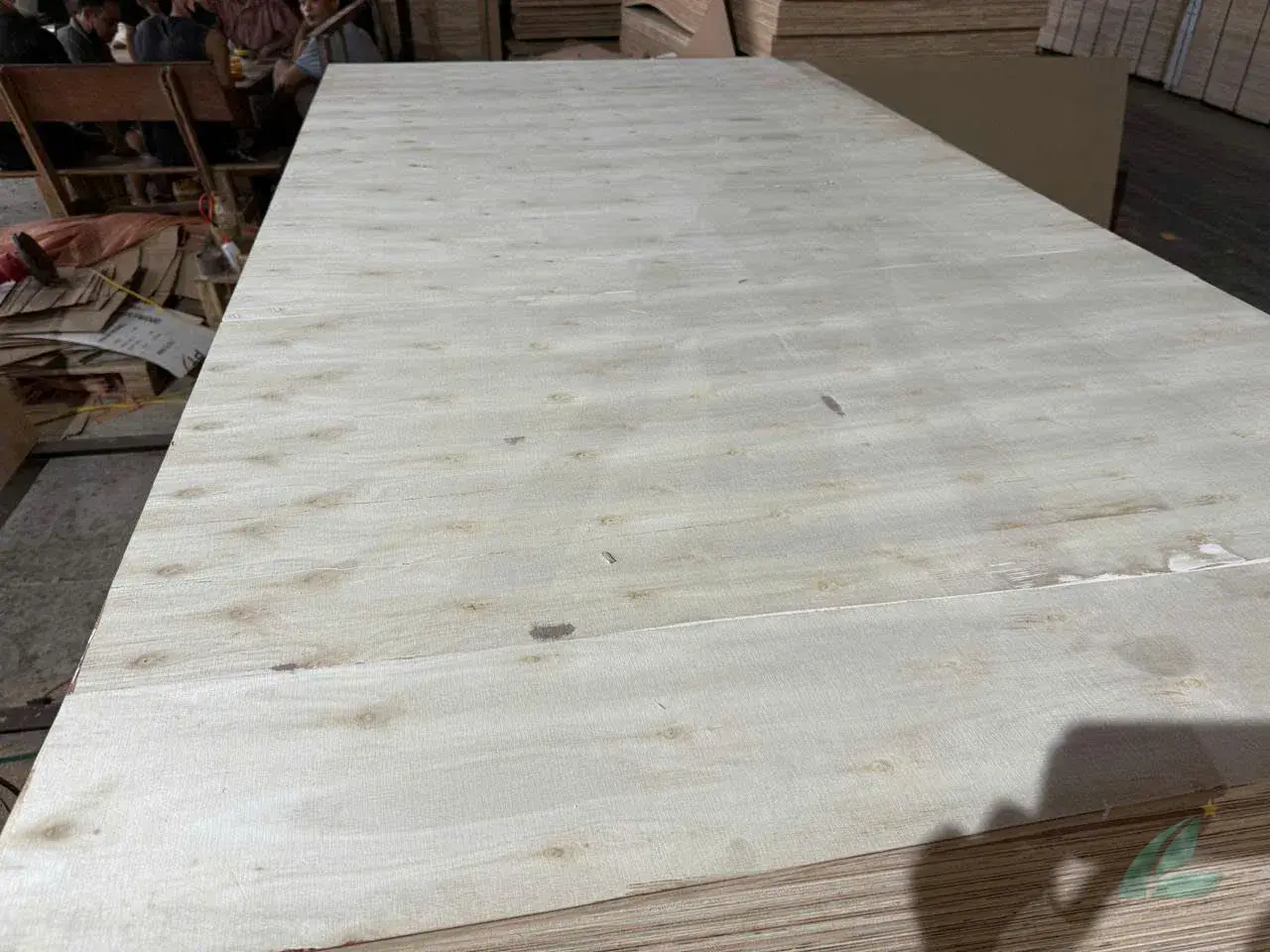 matt plywood unfaced raw core thickness range 12mm 18mm vietnam export hcply