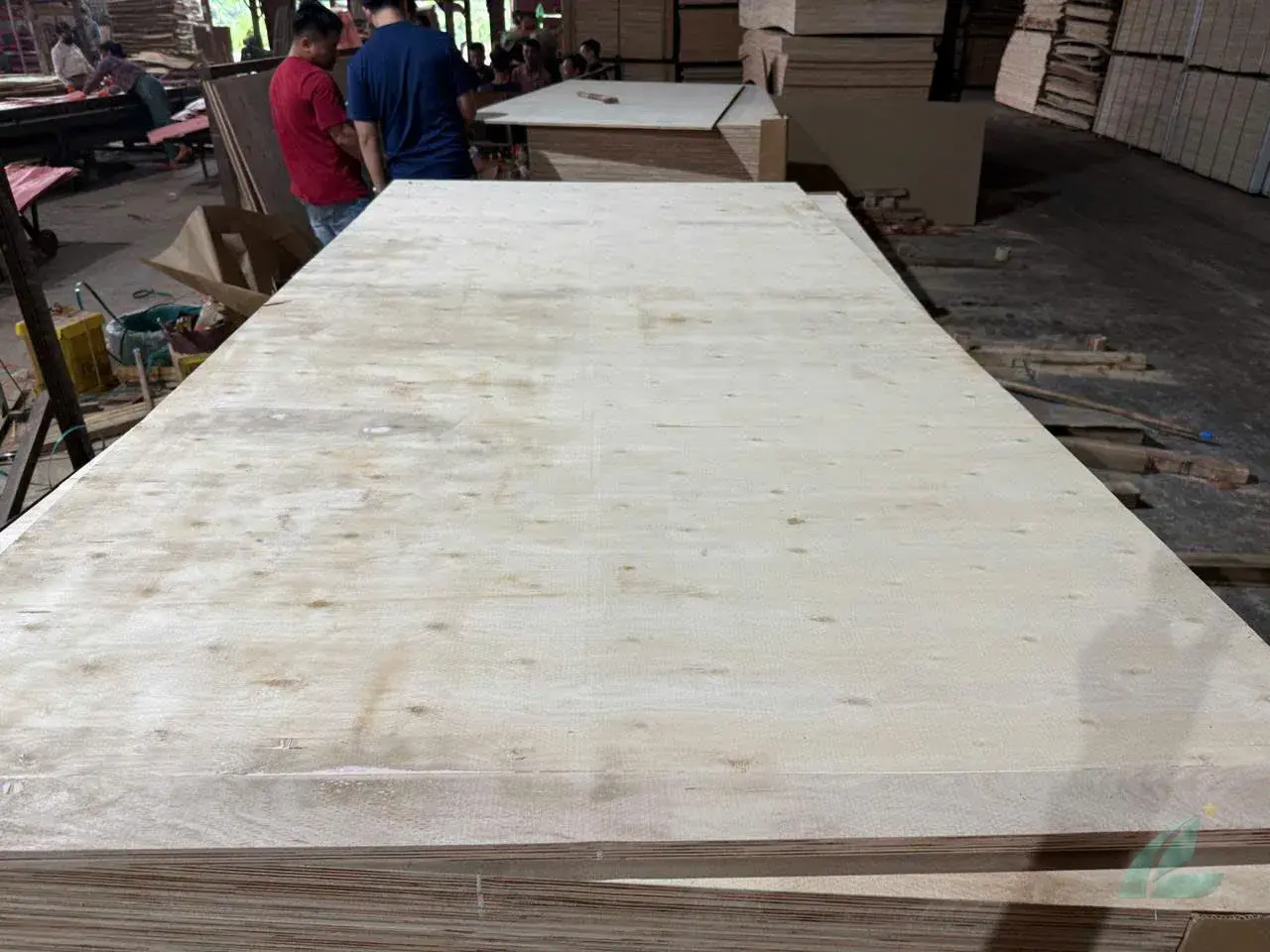 matt unfaced plywood qc inspection thickness calibration moisture check hcply vietnam export