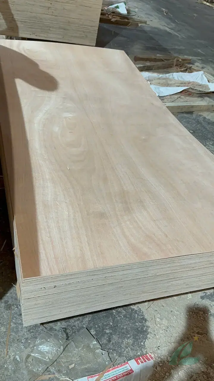 Okoume Plywood