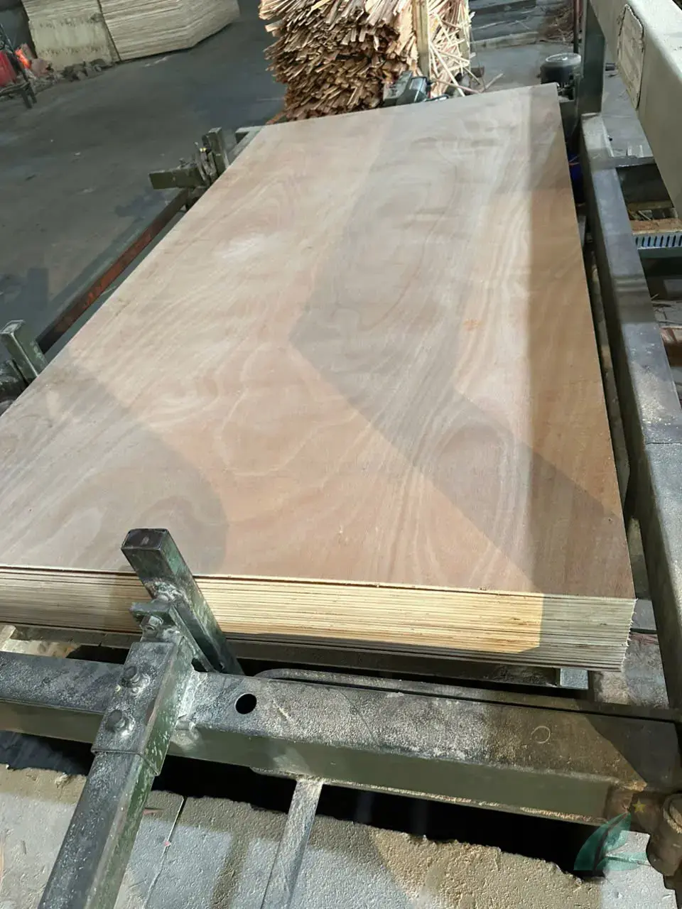 Commercial plywood from Mika Plywood