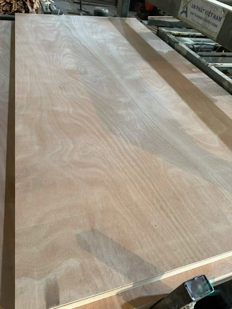 Okoume Plywood