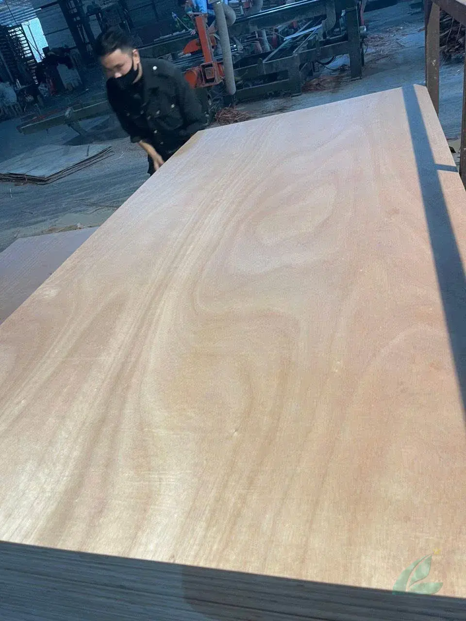 Okoume Plywood