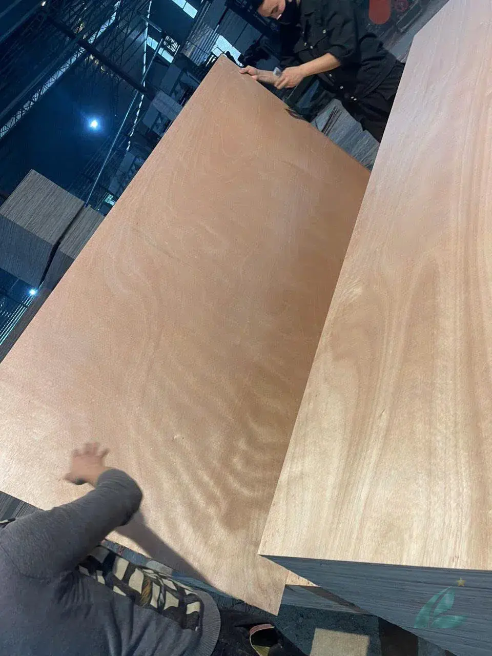 vietnam plywood factory okoume panel quality control inspection hcply