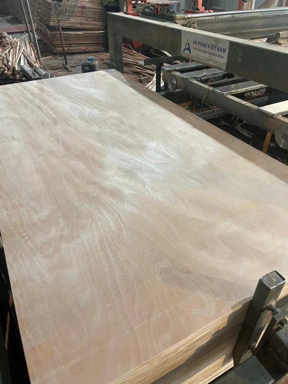 okoume plywood vietnam export to india middle east hcply