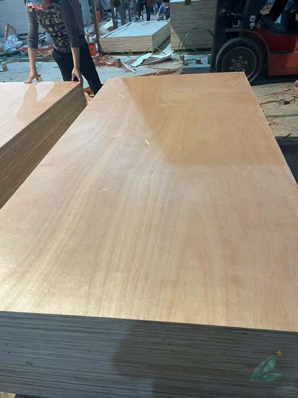 Okoume Plywood Vietnam — Mika Plywood