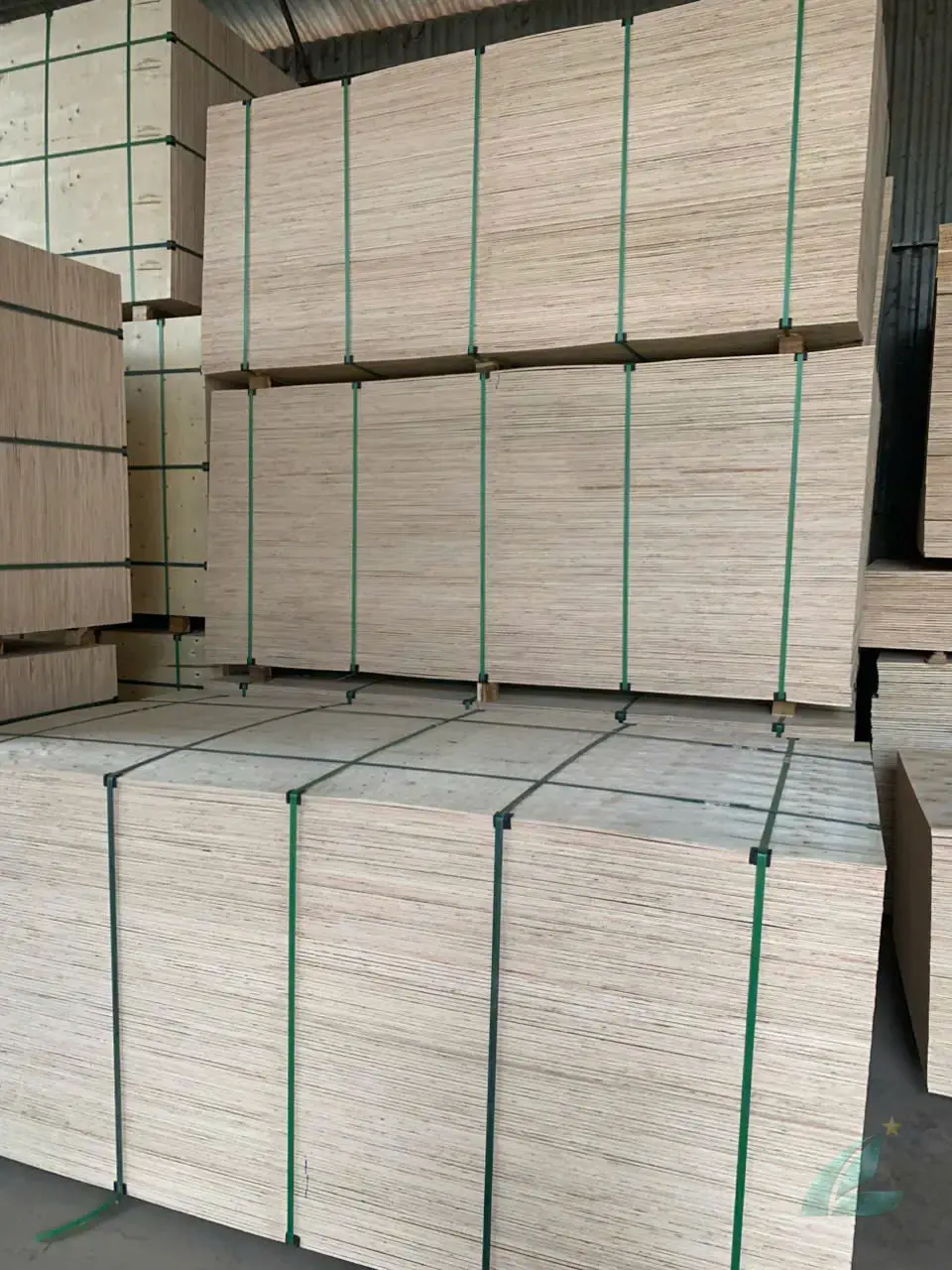 Packing plywood Vietnam acacia styrax core comparison Mika Plywood factory Northern Vietnam