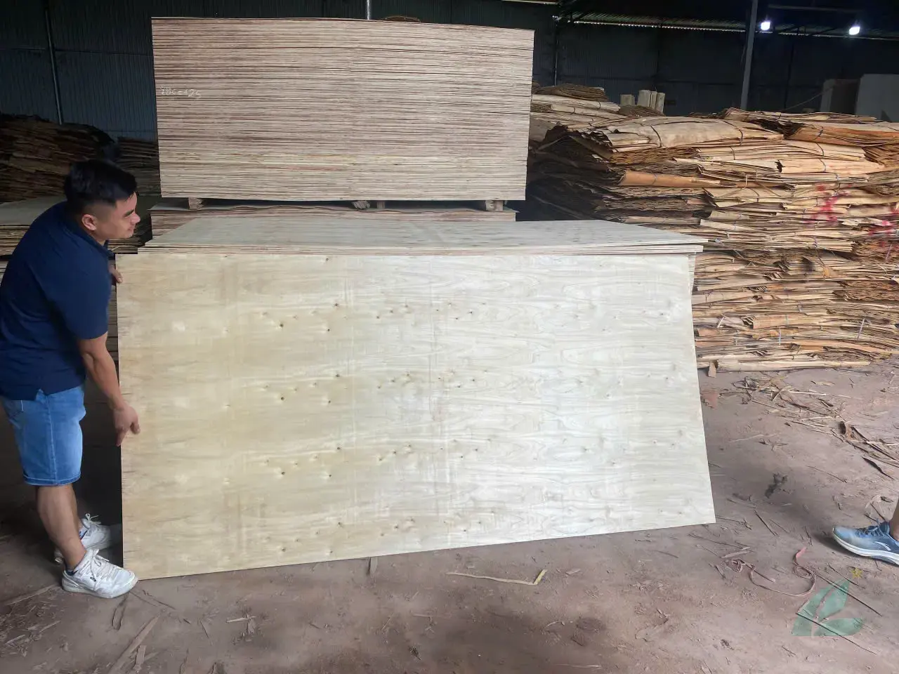 Packing plywood Vietnam Mika Plywood ISPM 15 fumigation heat treatment export ready