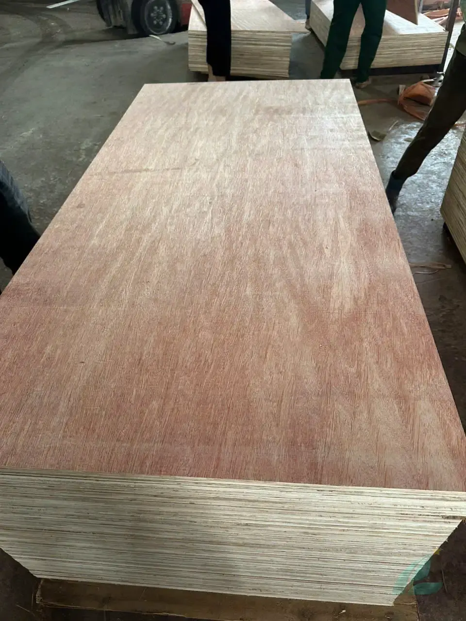 Packing plywood Vietnam factory export grade panels quality check Mika Plywood