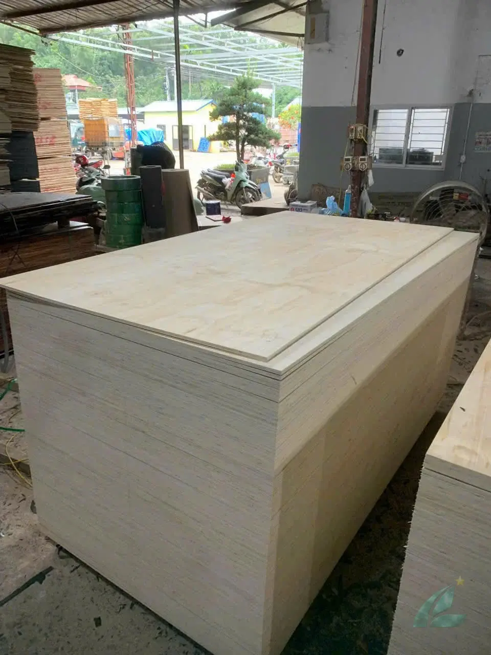 Pine Plywood