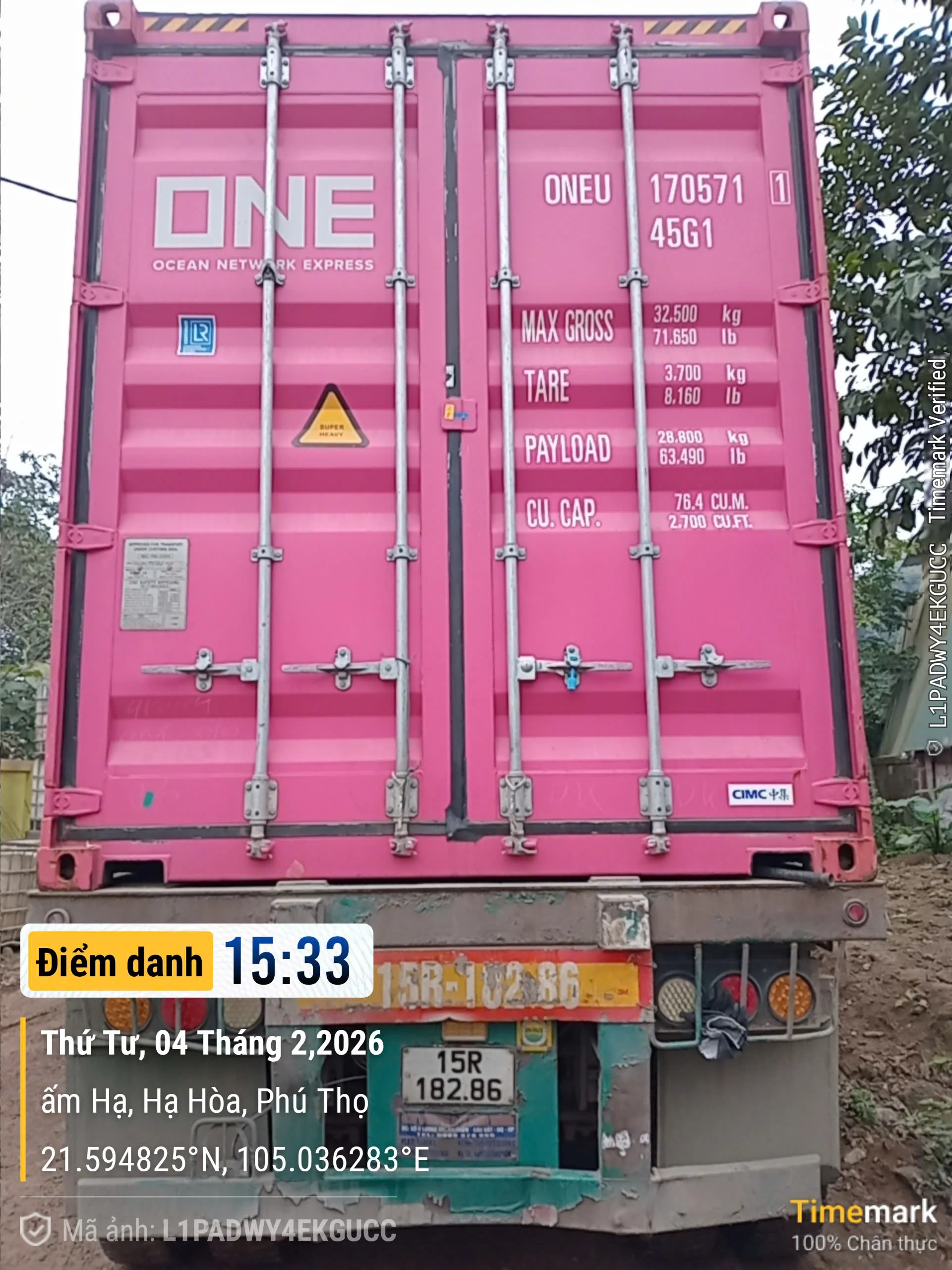 Plywood container loading 40HC for India export — BIS certified shipment