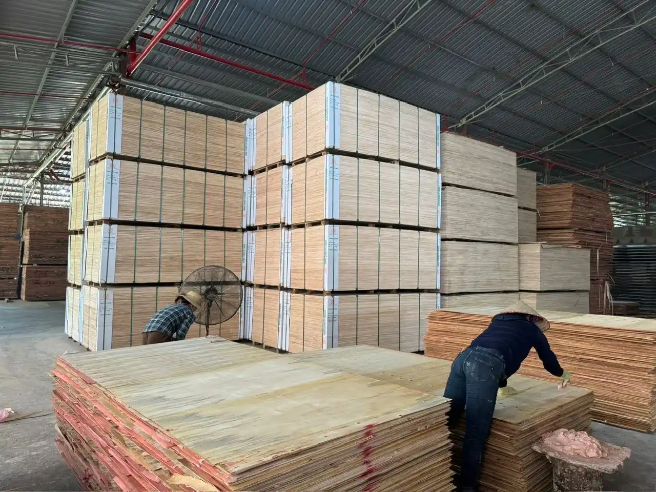 plywood factory production line furniture segment melamine MR grade vietnam hcply