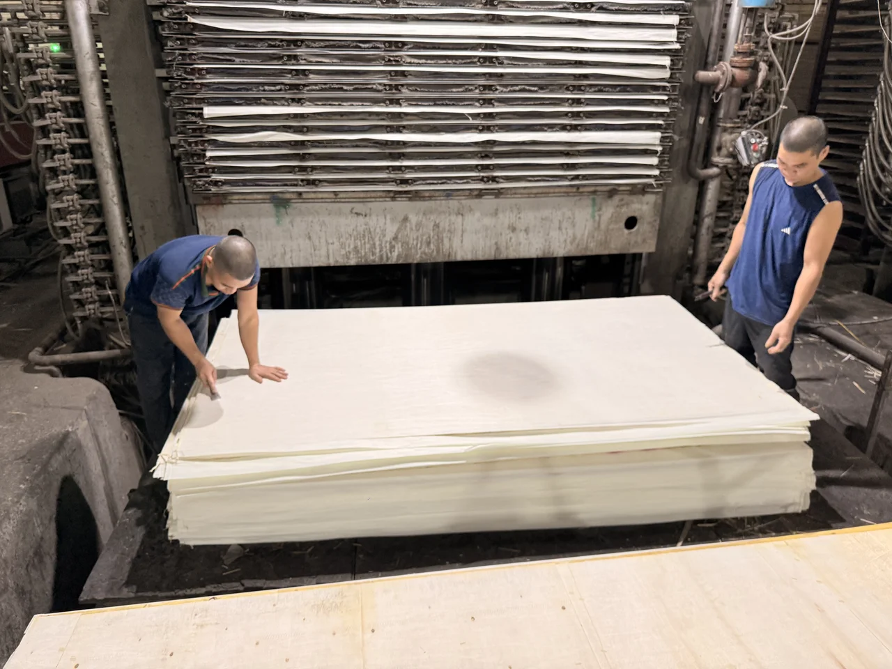 Plywood sanding and calibration line at Mika Plywood Vietnam factory