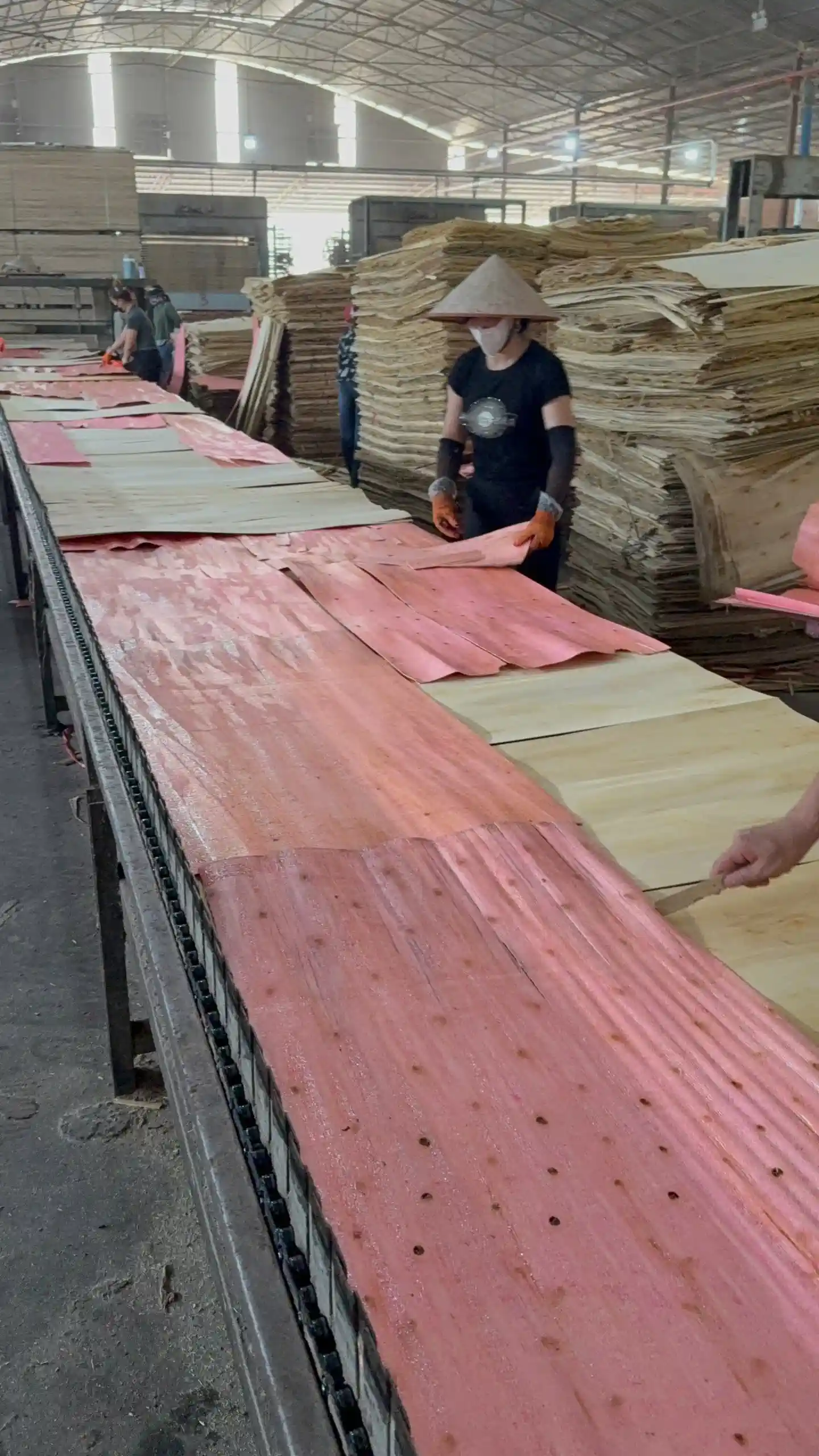 Vietnam plywood moisture resistance comparison — phenolic WBP glue bonding layers for export applications