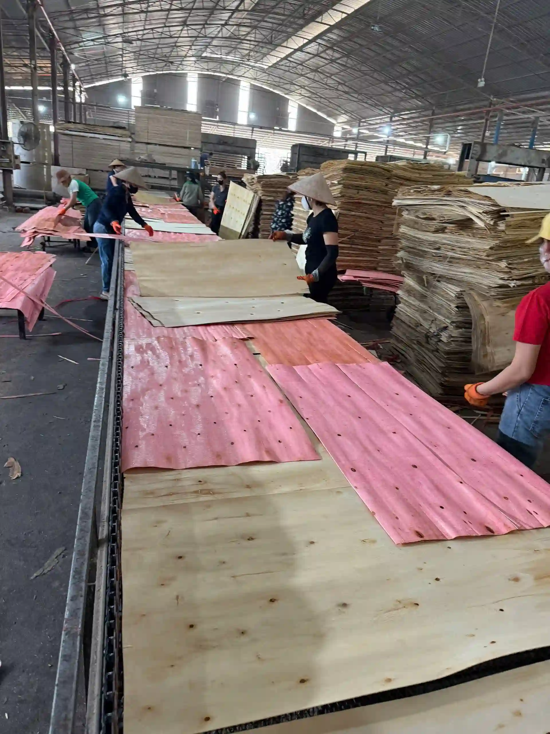 Plywood sanding production line at Vietnam factory