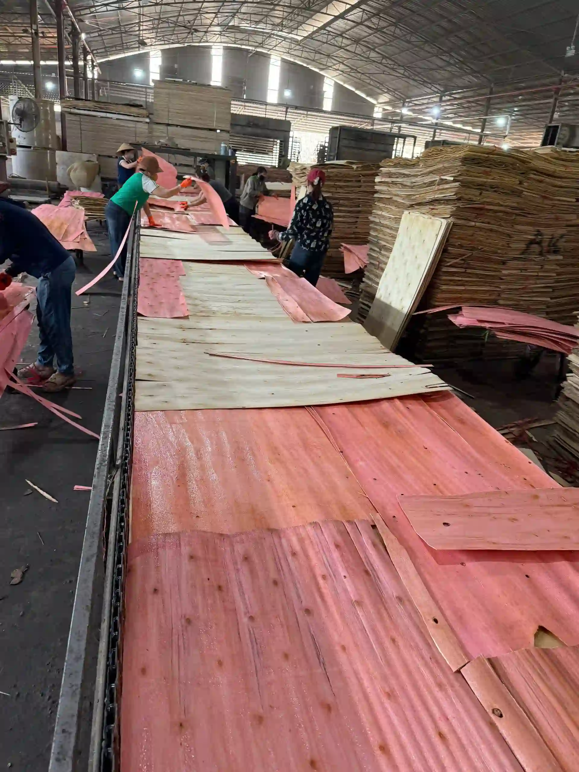 Plywood sanding line calibration furniture export grade Mika Plywood Vietnam factory