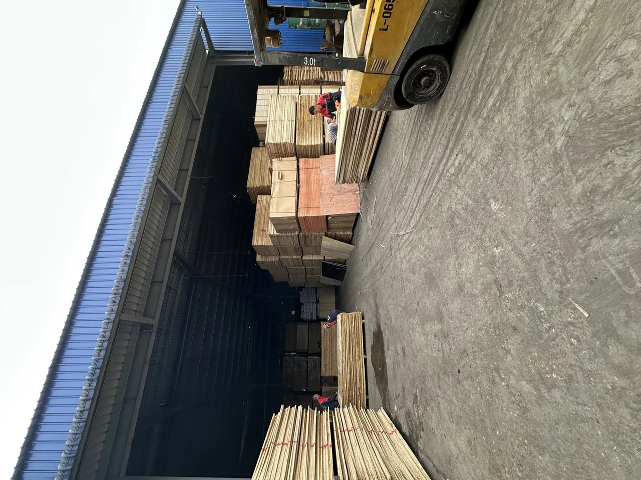 sanding line vietnam plywood factory calibrated thickness furniture grade