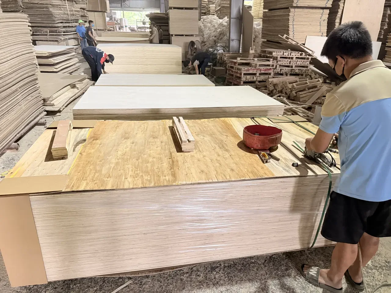Vietnam plywood hot press production — plantation timber processed under controlled factory conditions
