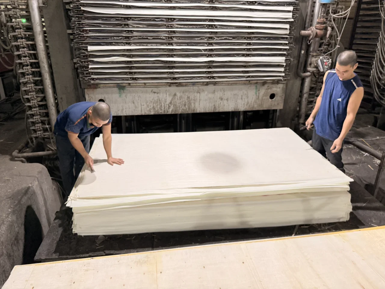 Vietnam plywood factory production line hot pressing and assembly hcply