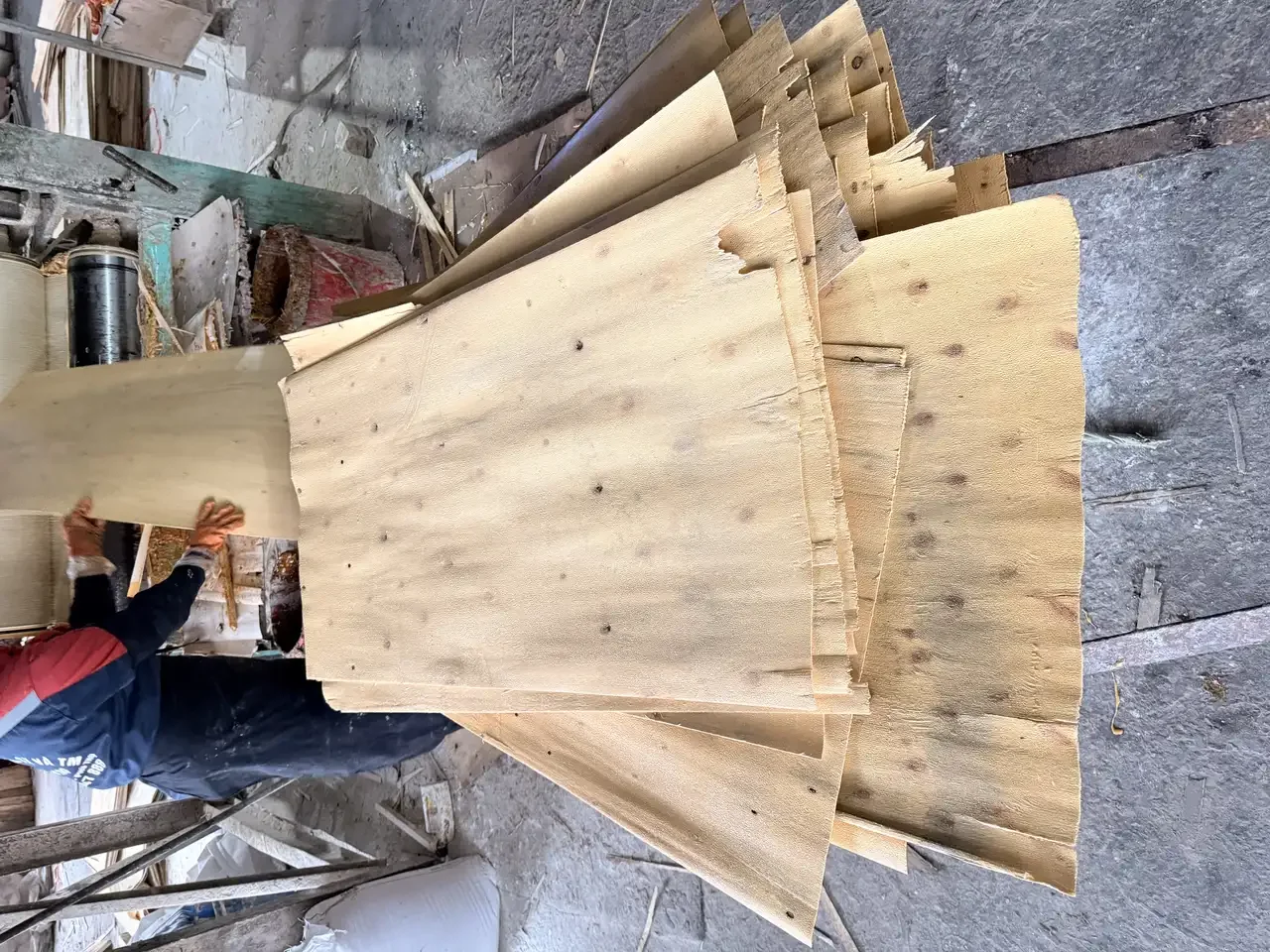 Plywood sheet size comparison 1220x2440mm vs 1250x2500mm Vietnam factory Mika Plywood export