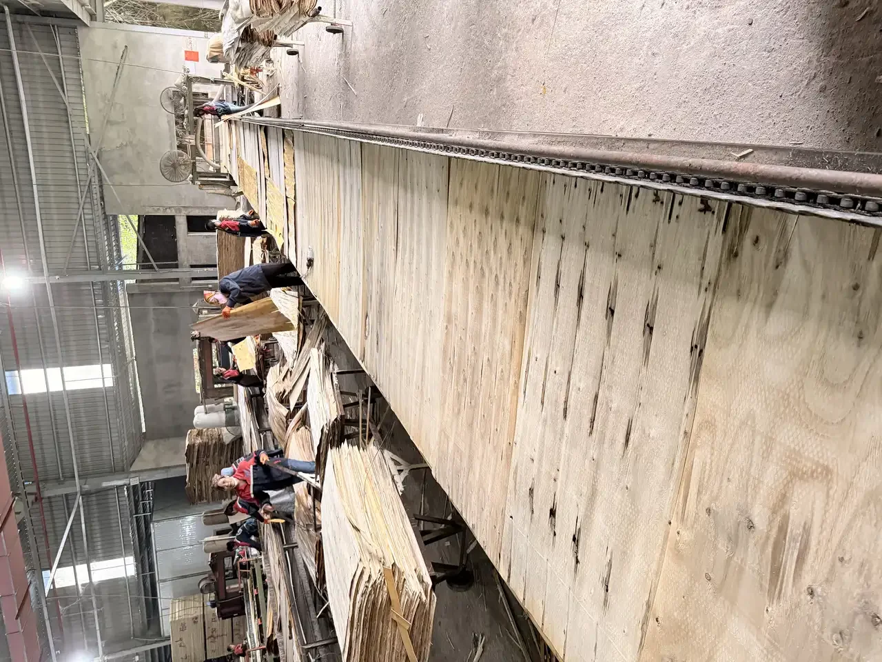 Vietnam plywood raw veneer production line at Mika Plywood factory in Phu Tho province
