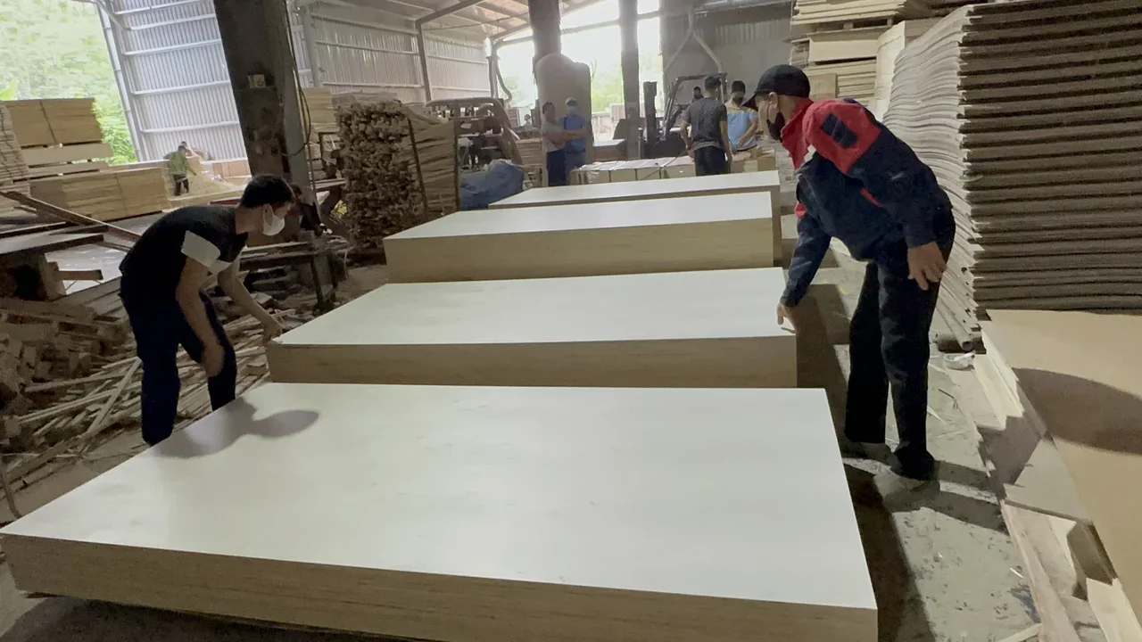 Plywood sanding line Vietnam factory calibration Mika Plywood
