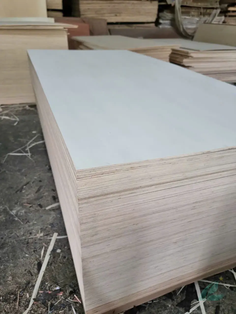 Poplar Plywood