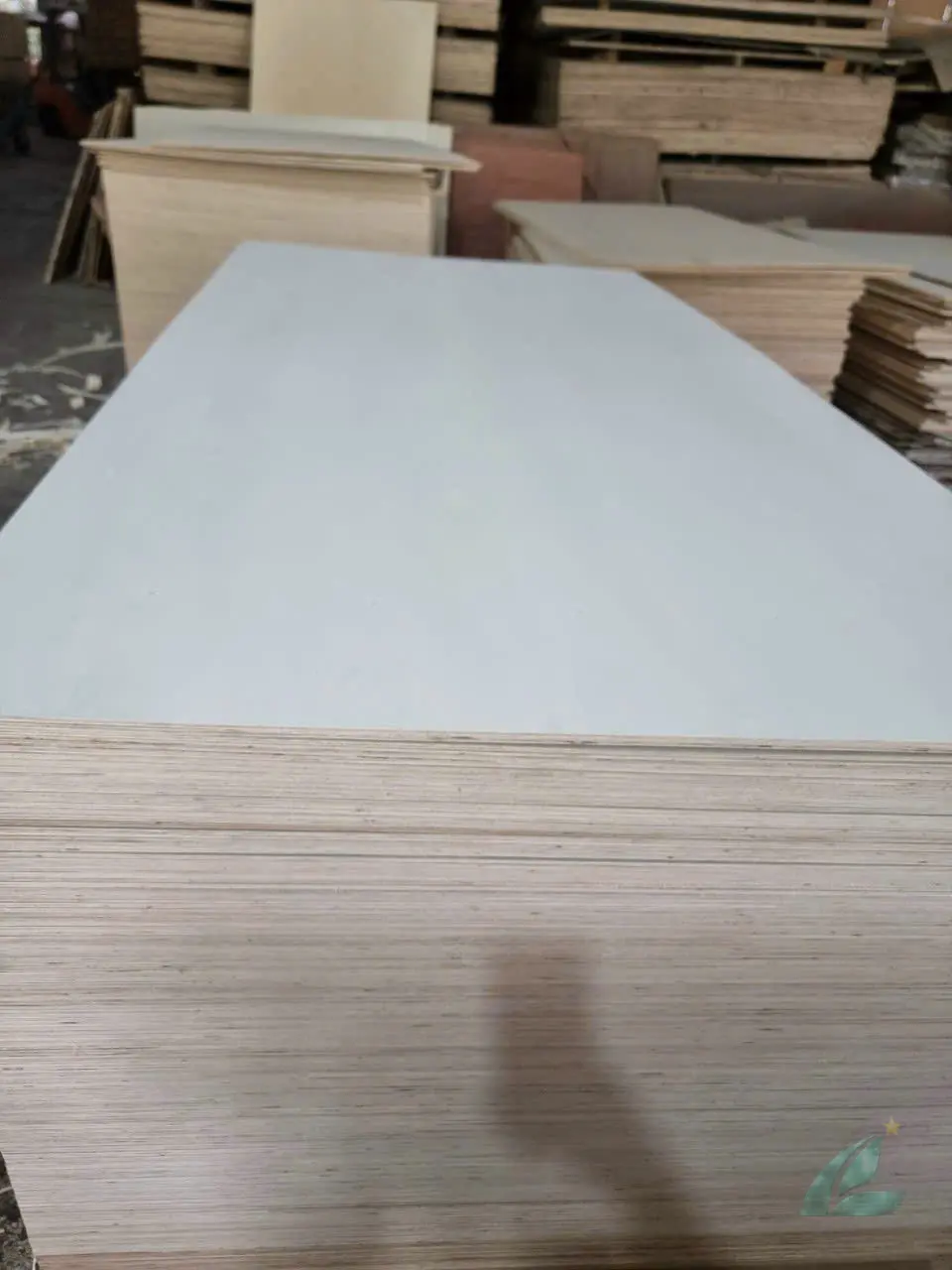 Poplar plywood white core Vietnam packaging export Mika Plywood