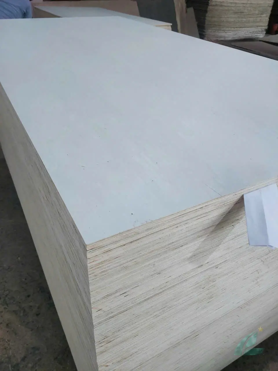 Poplar Plywood