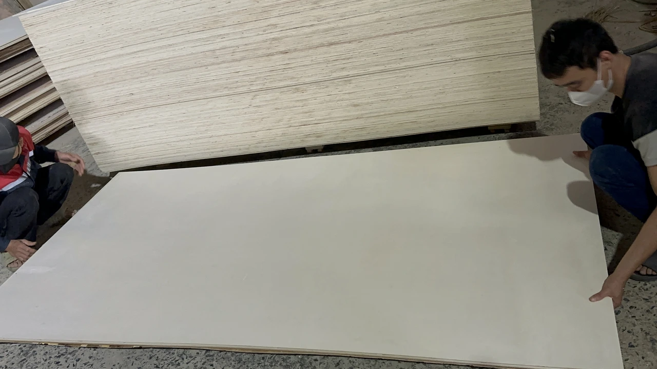 Vietnam poplar plywood white core furniture grade panels export certified hcply