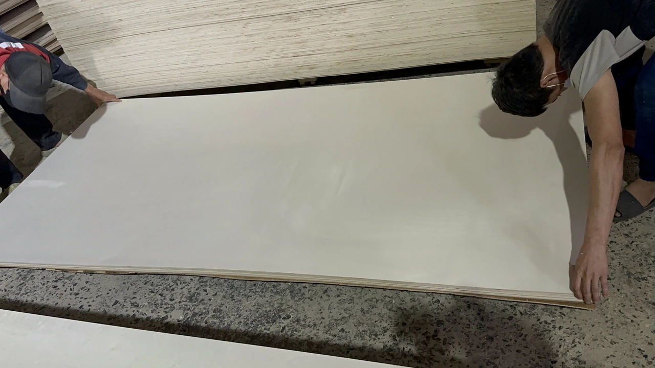 Vietnam poplar plywood white core furniture panel surface texture close-up hcply