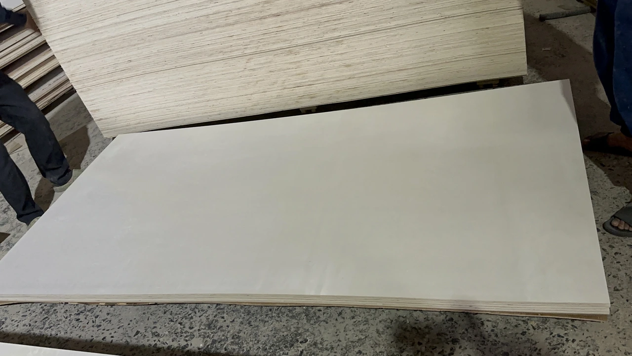 Vietnam poplar plywood white core edge view showing styrax core hcply factory export