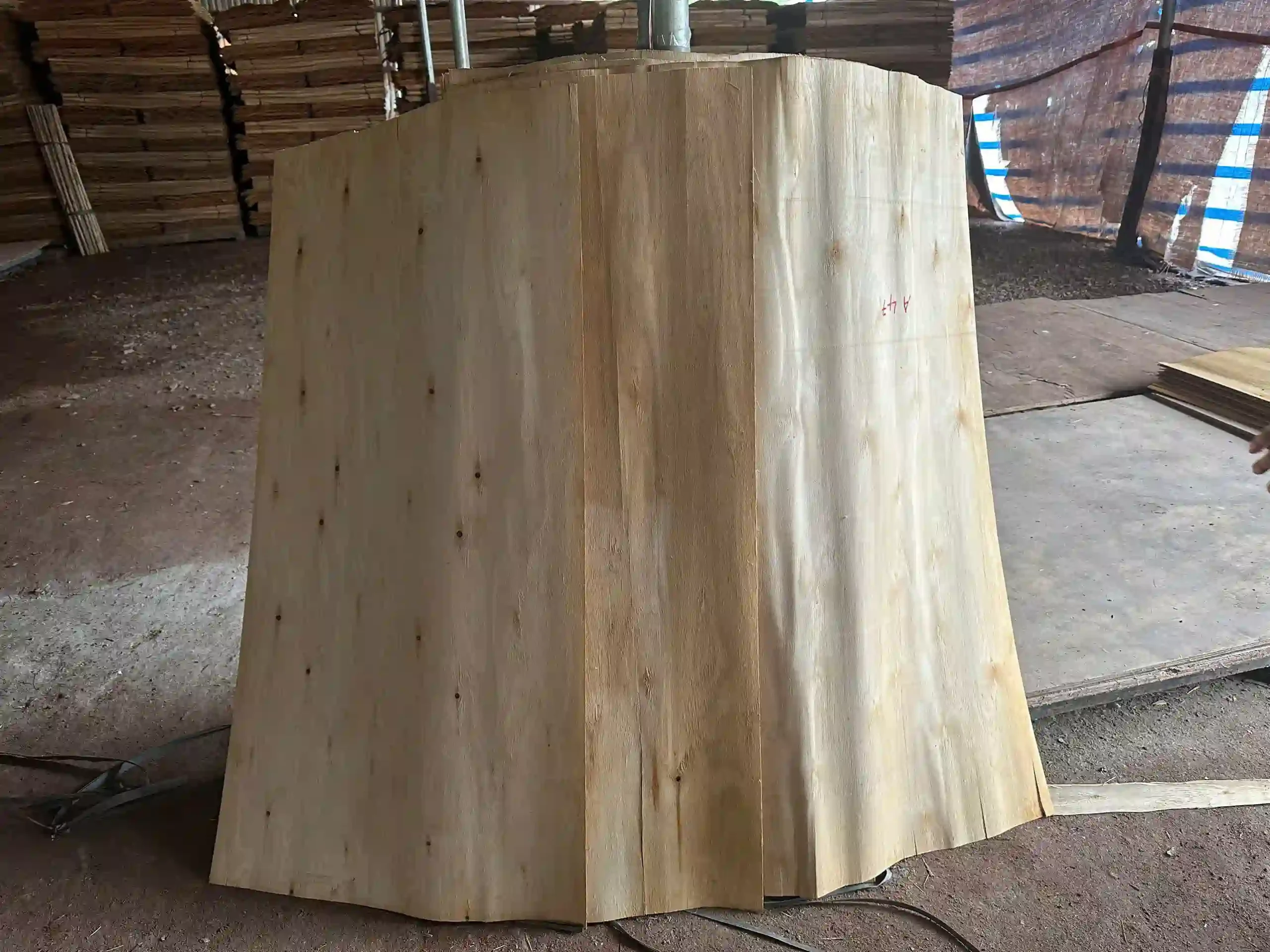 Plywood core veneer quality check — thickness uniformity inspection Mika Plywood Vietnam
