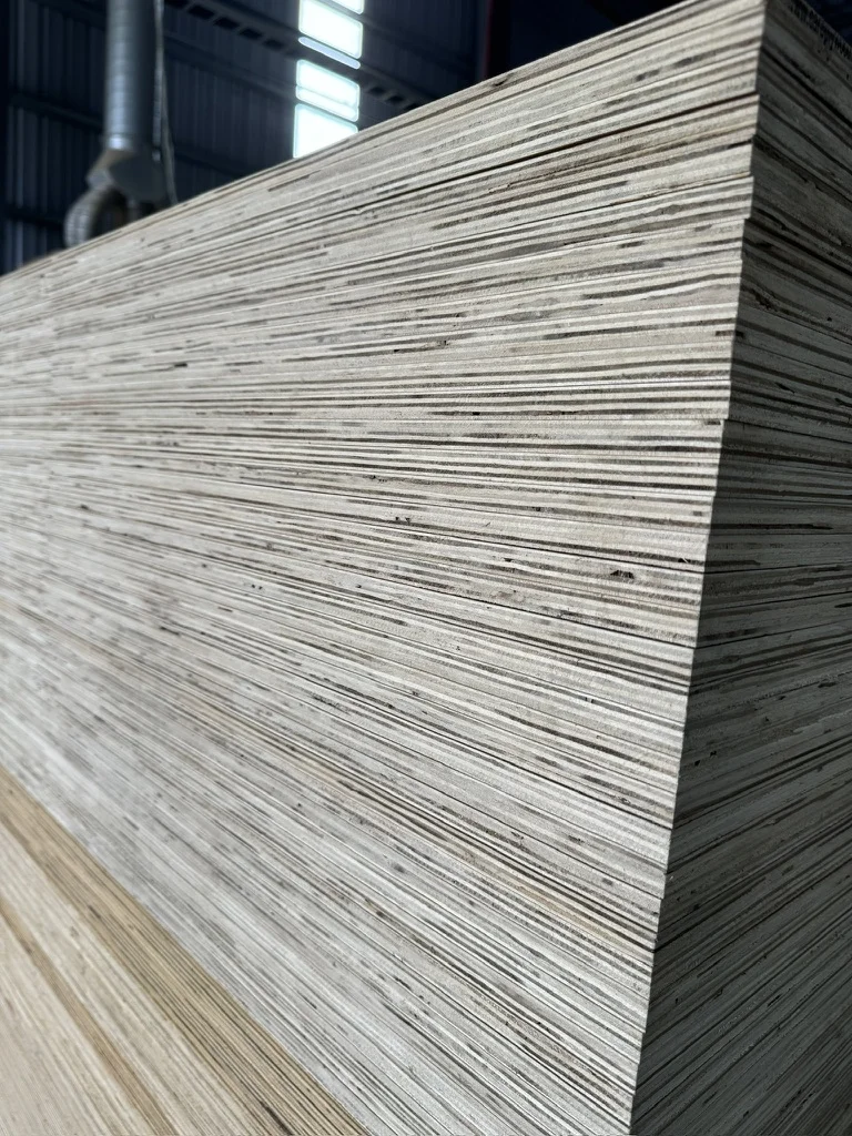 Acacia core plywood edge cross-section comparison — budget grade QC Mika Plywood