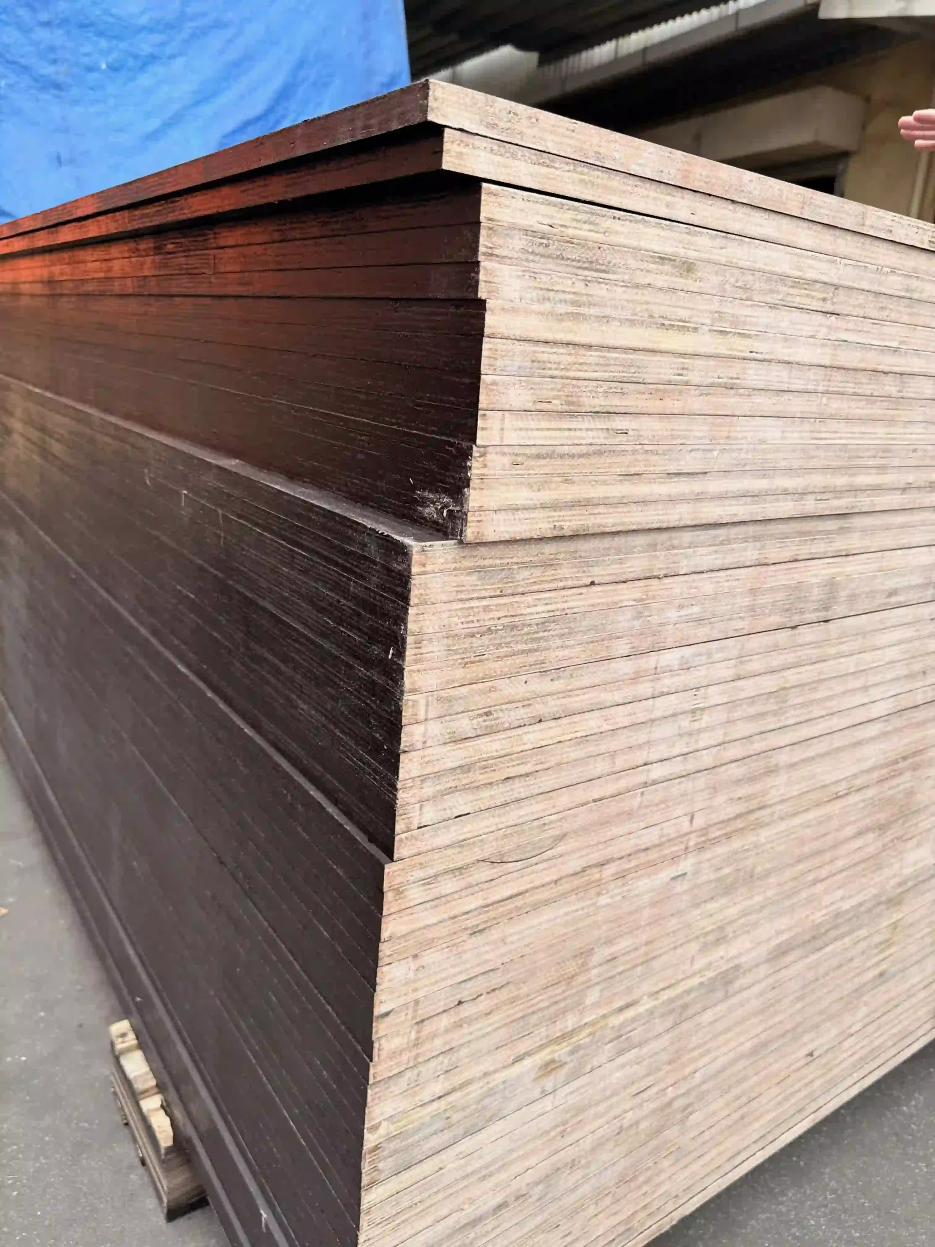 Construction plywood edge QC — Vietnam factory formwork grade inspection Mika Plywood