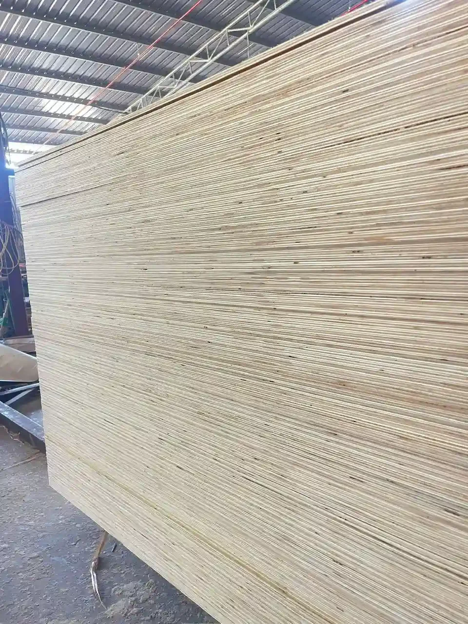 Plywood edge quality inspection export standard Mika Plywood Vietnam factory