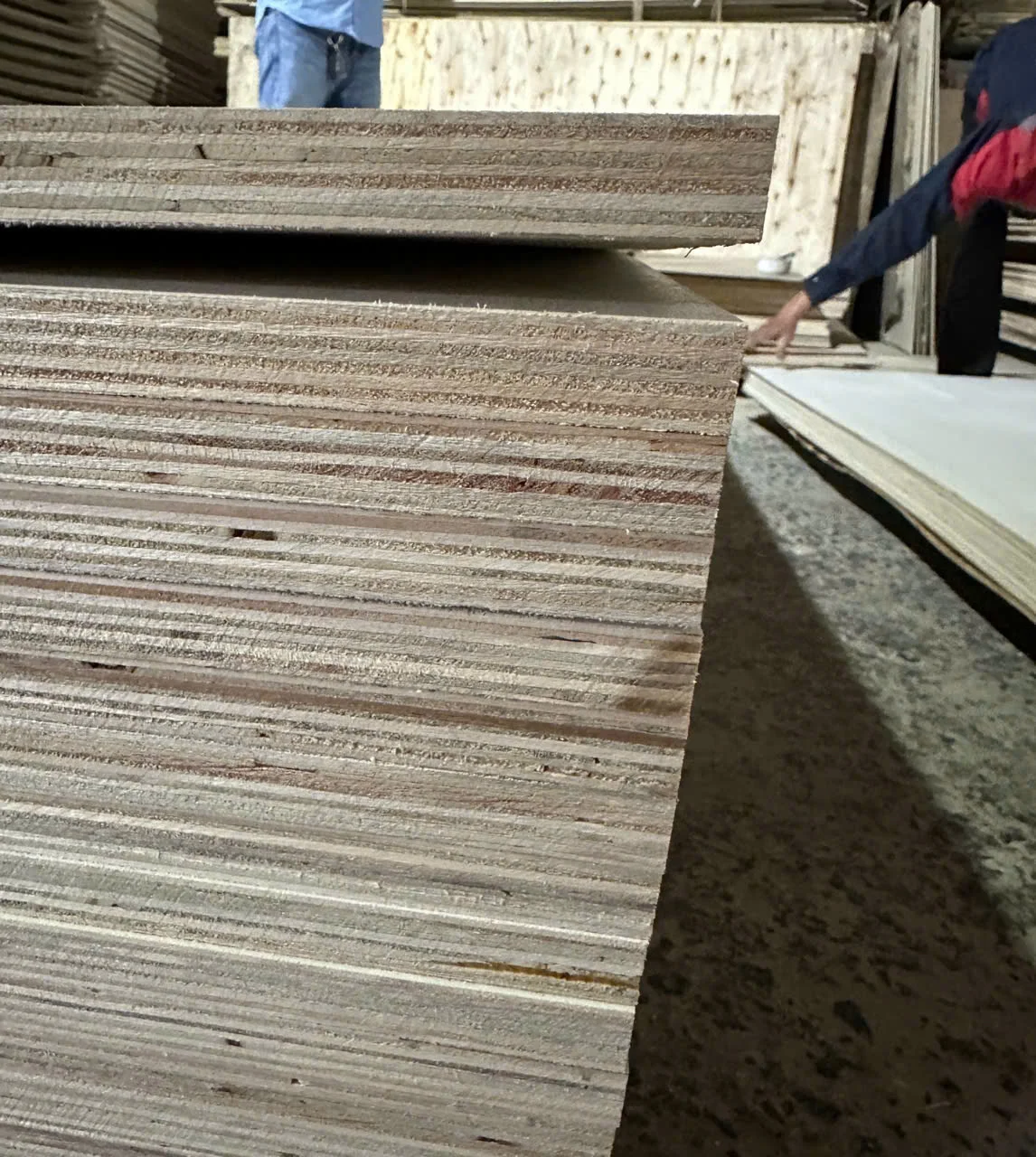 Plywood QC edge inspection Vietnam factory export standard Mika Plywood